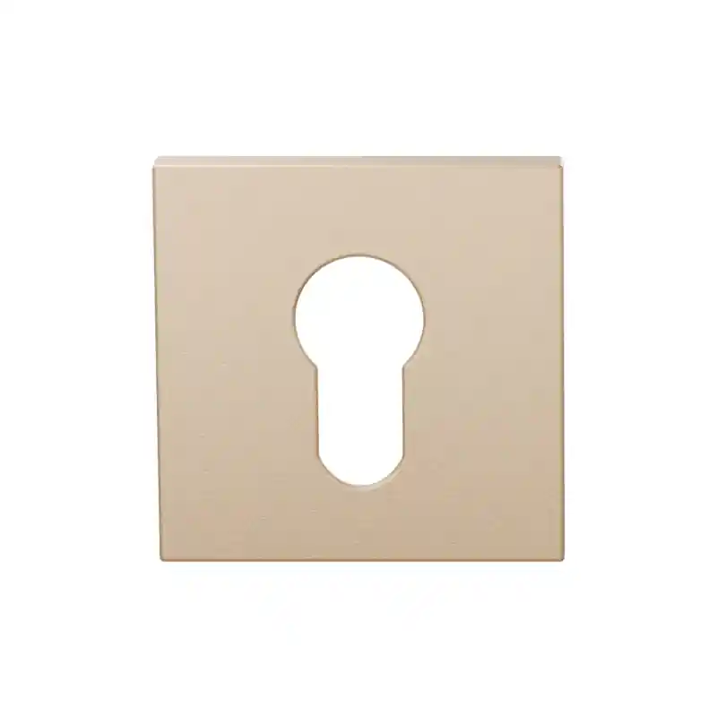 Betaalbaar Cilinderrozet GPF199E 53x53x6,5 mm Sand