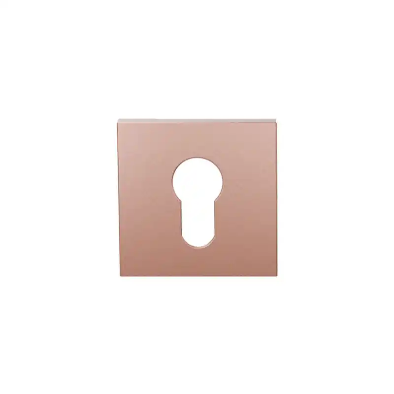 Cilinderrozet GPF199E 53x53x6,5 mm Blush Hete Deal