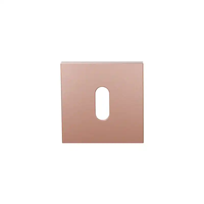 Direct Beschikbaar Sleutelrozet GPF199E 53x53x6,5 mm Blush