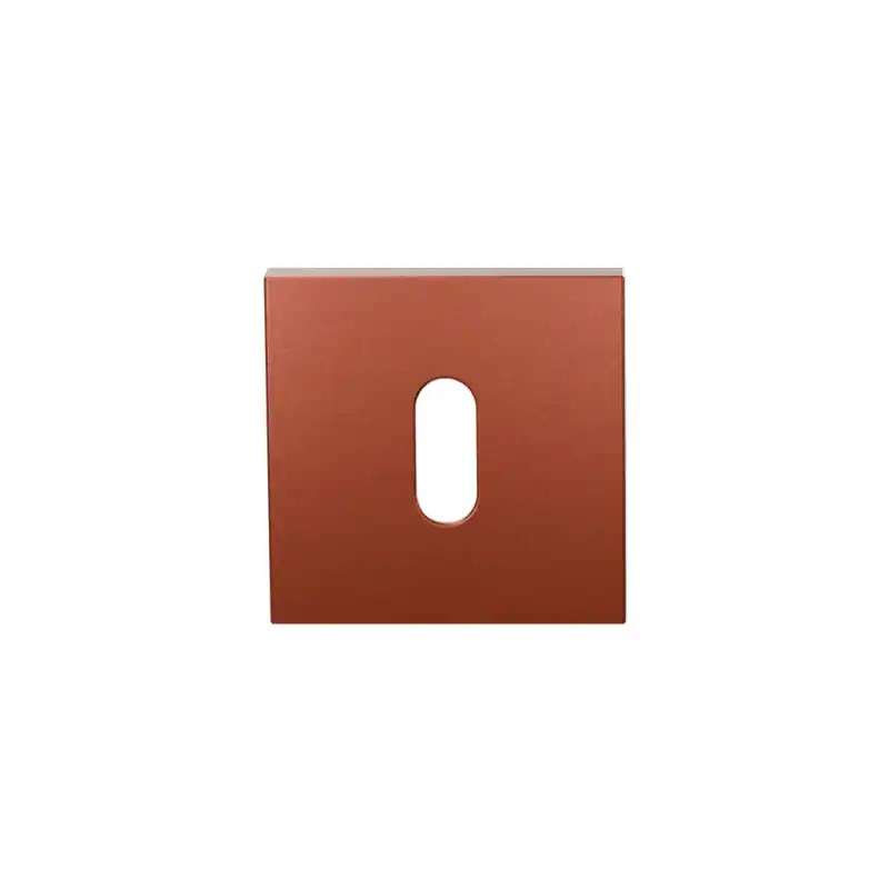 Nieuw Sleutelrozet GPF199E 53x53x6,5 mm Terra