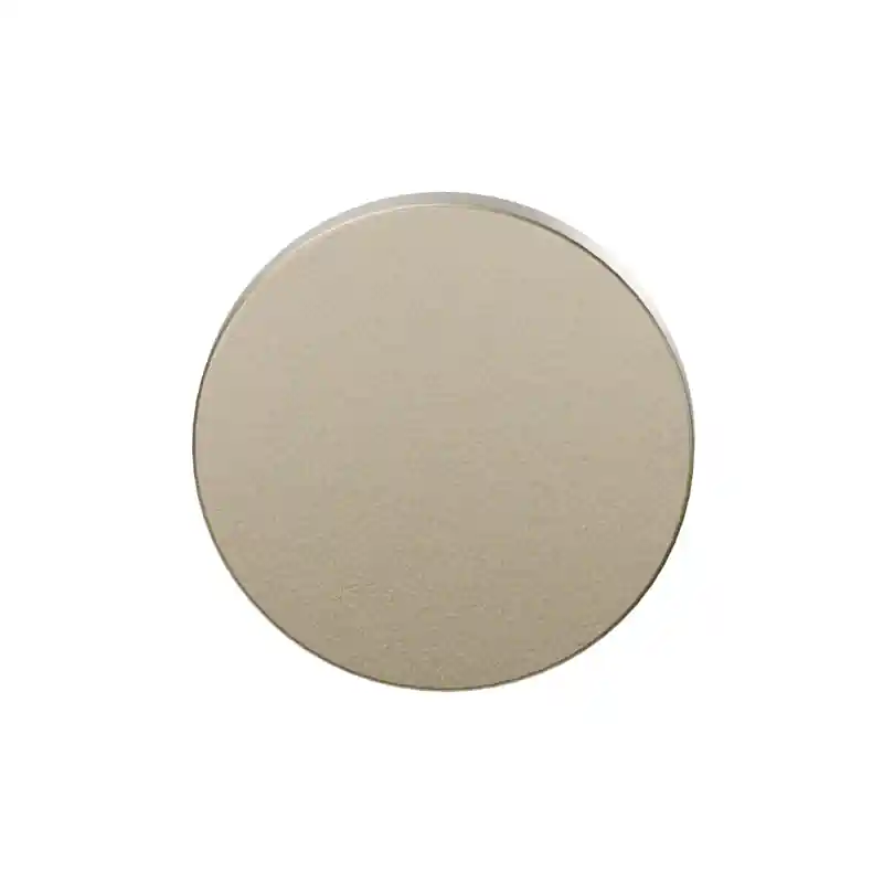 Koop Vandaag Blinde rozet GPF199E 53x6mm Champagne blend