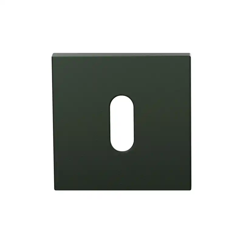 Sleutelrozet GPF199E 53x53x6,5 mm Moss Nu Kopen