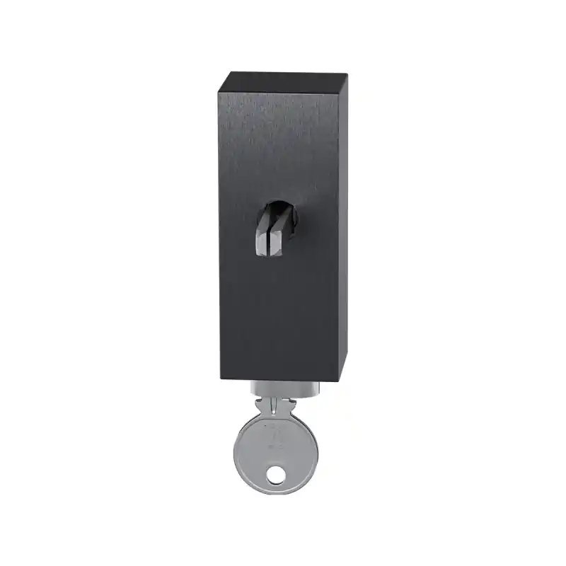 GPF9252.P1.0060 draaikiepmechanisme afsluitbaar met stift binnenzijde 65mm Snelle Levering
