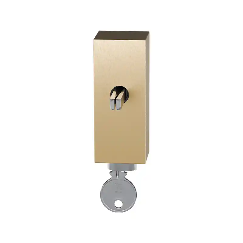 Lage Prijs GPF9252.P4.0040 draaikiepmechanisme afsluitbaar, PVD mat messing