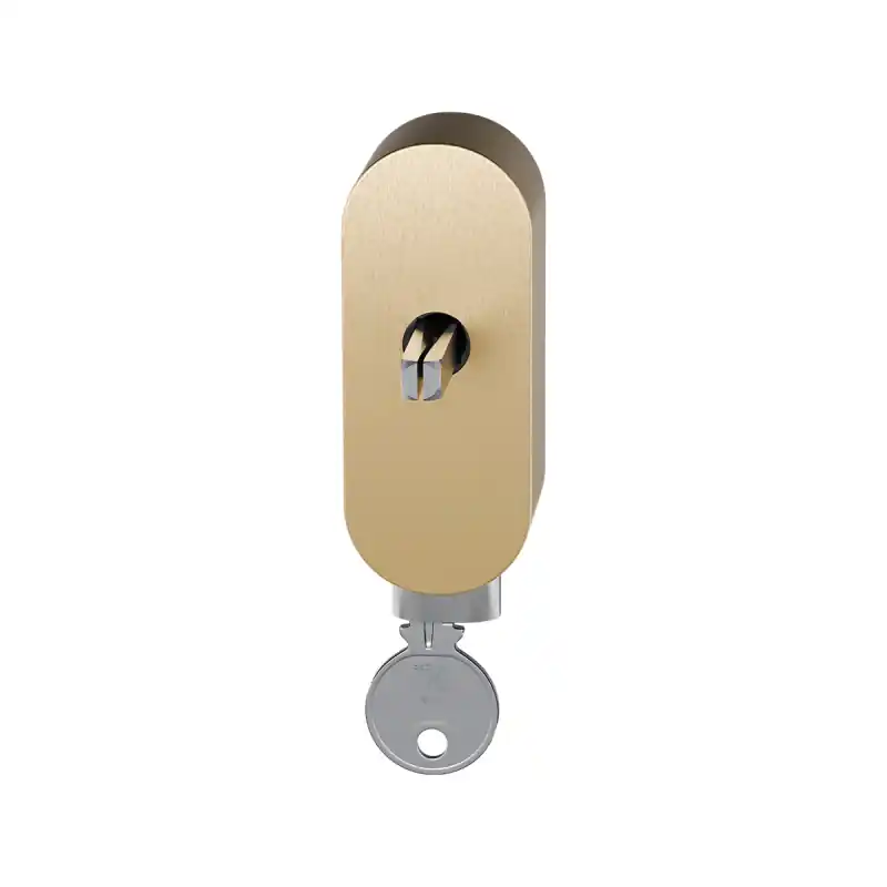 Shop Nu GPF9250.P4.0040 draaikiepmechanisme afsluitbaar, PVD mat messing