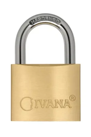 Rechtstreeks Van De Fabrikant Ivana hangslot 40 mm