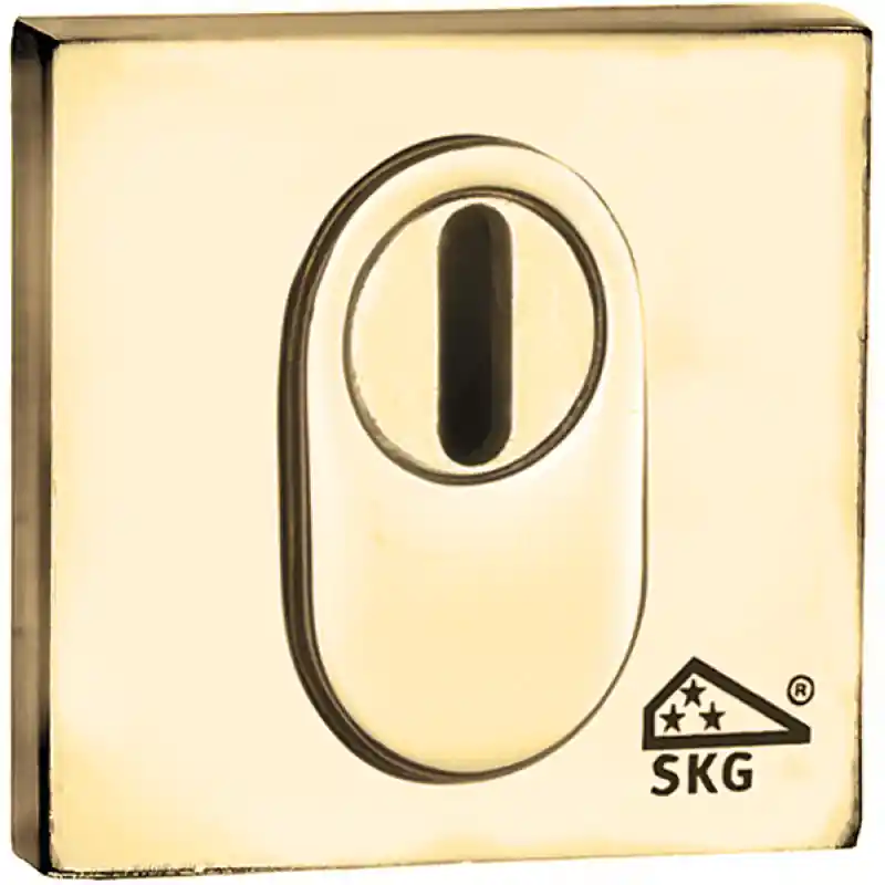 Snelle Levering Mi Satori SKG cilinderrozet Bauhaus BU kernt. gepolijst ongelakt