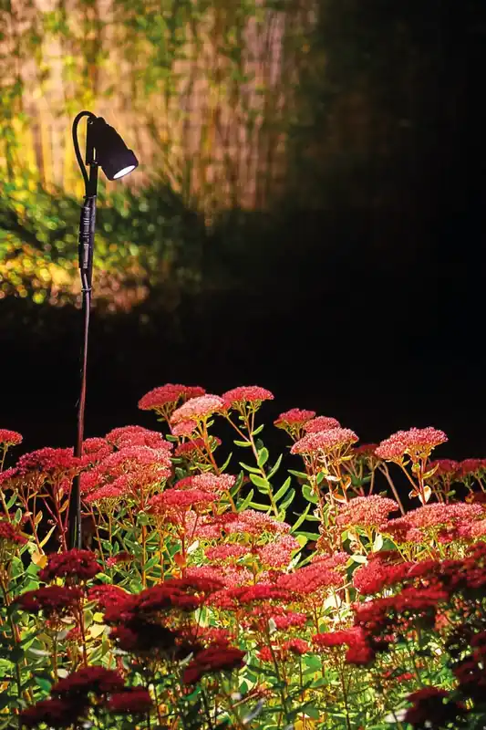Betaalbaar Suslight Grondpin 30 cm