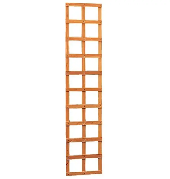 Hardhout Trellis Rechthoek 40 x 180 cm Voordeelprijs