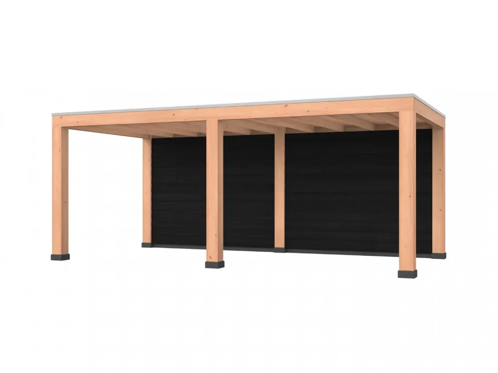 Douglas overkapping, 600 x 300, met achterwand, Westwood Robuust zwart Laatste Versie