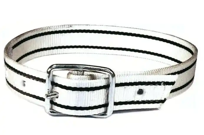 Koop Online Halsriem NYLON 100 CM