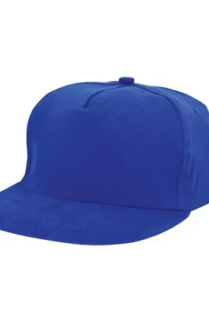 Beste Prijs Pet BASEBALL BLAUW