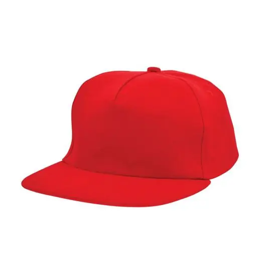 Snelle Levering Pet BASEBALL ROOD
