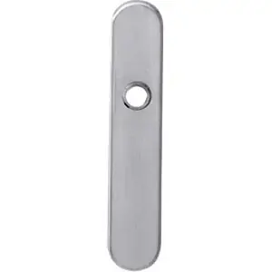 Alleen Vandaag Schild verdekt 220x42mm SL56 rvs