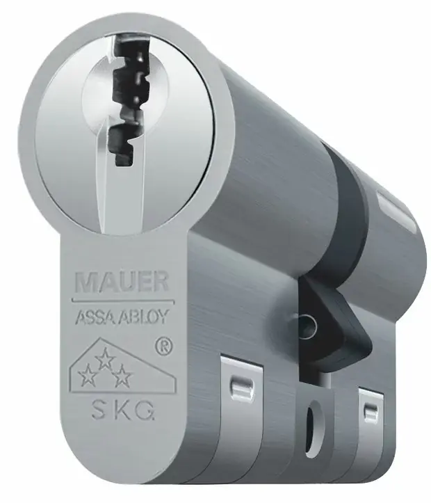 Nu Kopen Mauer Cilinder DT1 Plus 31/61 SKG3