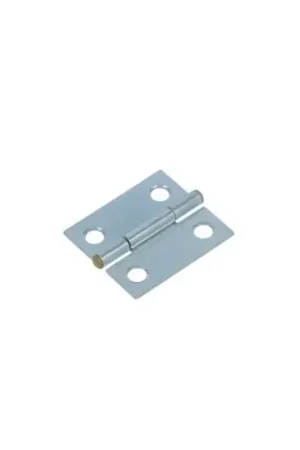 Weekendaanbieding DX Scharnier blank verzinkt 30×26 mm