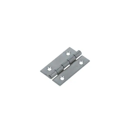 Gereduceerde Prijs DX Smalscharnier 40×30 mm rvs gepolijst