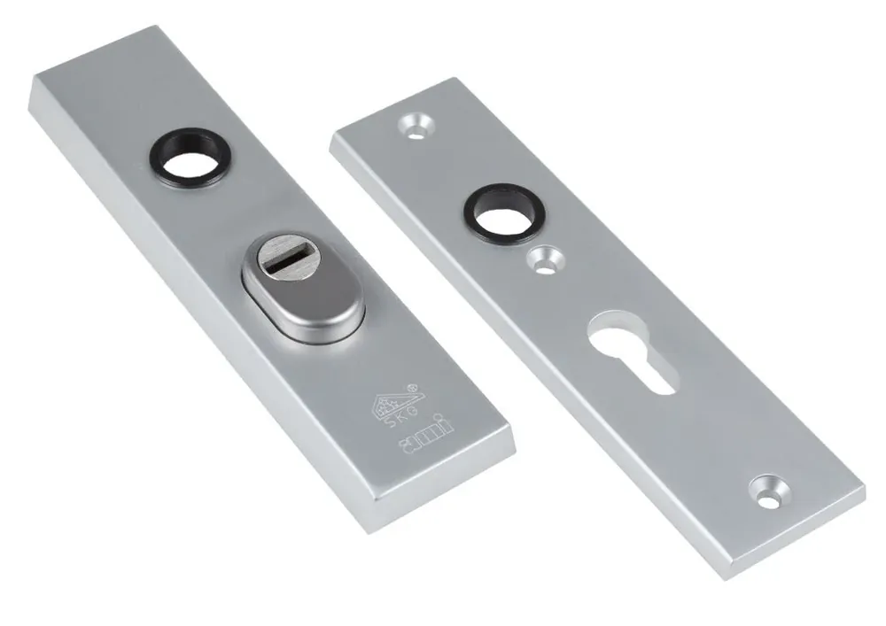 Premium Ami veiligheidskortschilden PC55 rechthoekig met kerntrekbeveiliging SKG3 aluminium F1