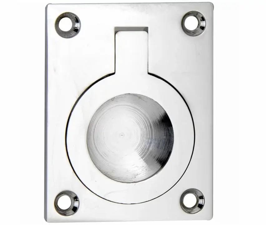 Alleen Vandaag Luikring rechthoekig 40×30 mm glans nikkel