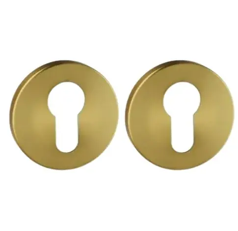 Veilige Betaling Set van twee pc-plaatjes ø52x6mm Permafix PVD goud