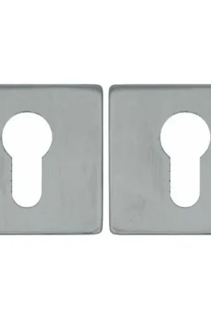 2 PC-Plaatjes vierkant 53x53x8 rvs Bestel Nu