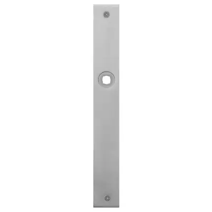 Populair Plaatschild BB56 rechthoekig RVS geborsteld 240x30x2mm