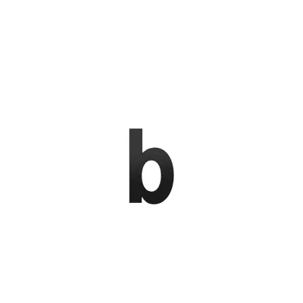 Beste Prijs Huisnummer toevoeging letter ‘b’ zwart, 156 mm