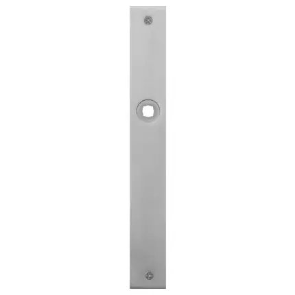 Rechtstreeks Van De Fabrikant Plaatschild PC72 rechthoekig RVS geborsteld 240x30x2mm