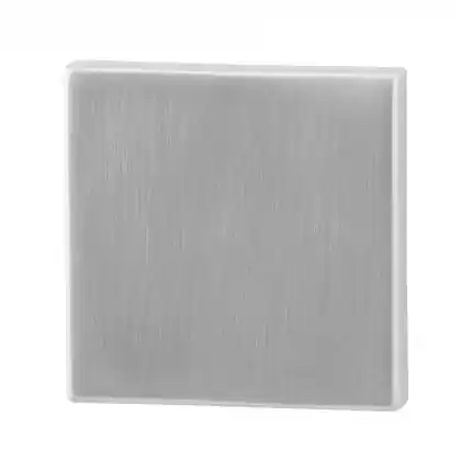 Express Levering Blinde rozet 50x50x8mm RVS geborsteld
