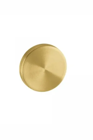 Dagaanbieding Blind rozet 50mm RVS Titanium Goud