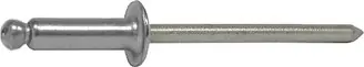 BLINDKLINKNAGEL RVS A2 4.8X14MM Tijdelijk Beschikbaar