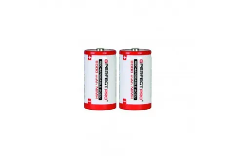 BATTERIJ NIMH 8000 mAhSET 2X D Favoriet