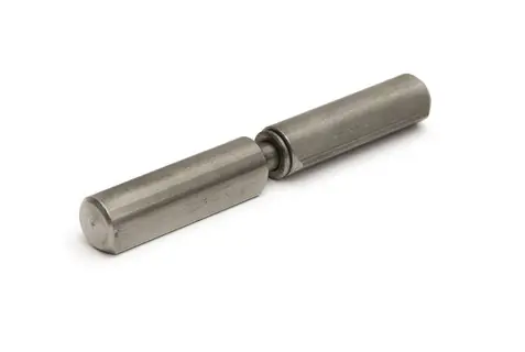 AANLASPAUMELLE RVS 304 80MM Beste Prijs