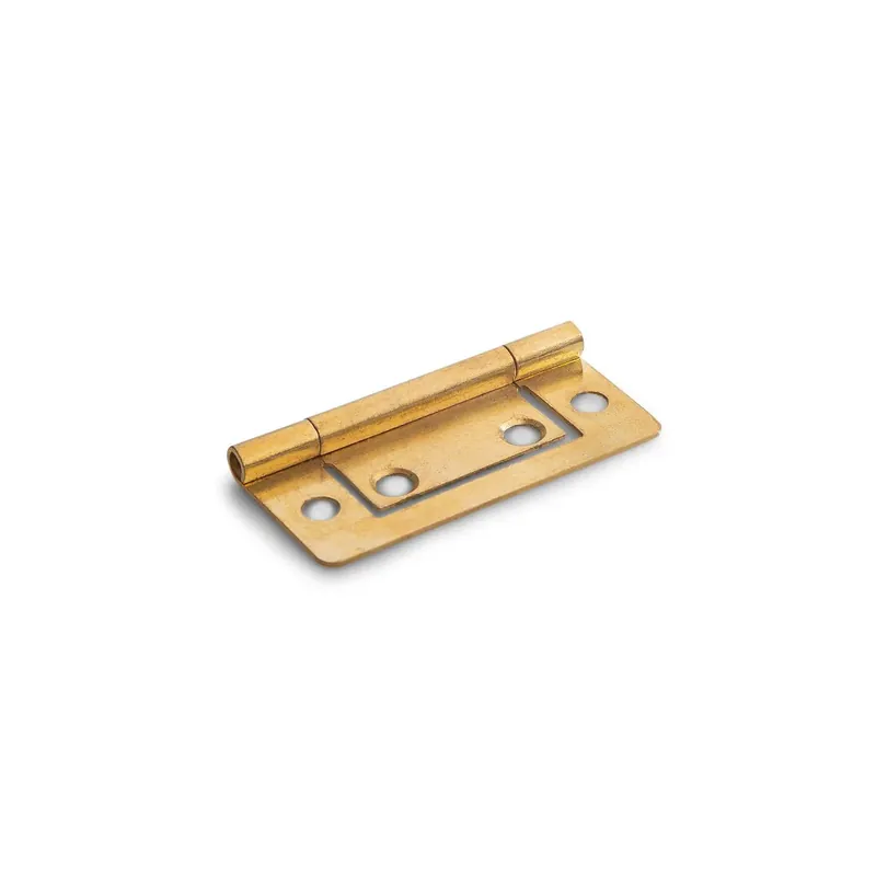 Favoriet Dulimex Louvredeurscharnier vermessingd 50 x 24 mm
