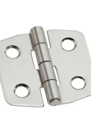 Aanbieding Dulimex Klepscharnier RVS gepolijst 40 x 42 mm
