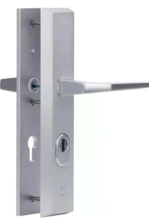 Aanbieding Dieckmann Alpha renovatie achterdeurbeslag met binnen en buiten Kruk D7013 XXL uitvoering