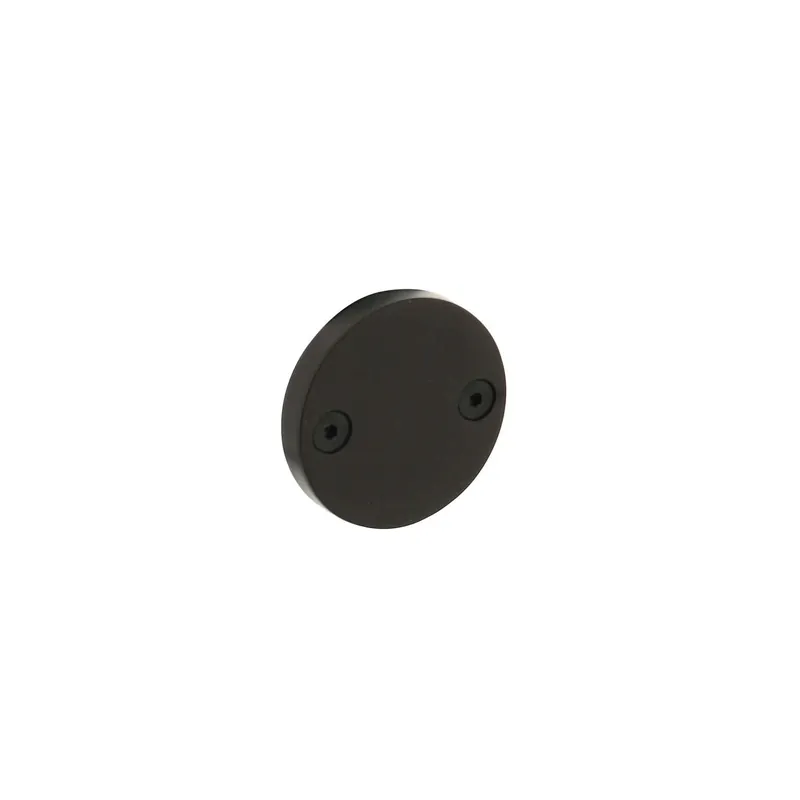 Intersteel Afdekrozet 55x8mm PVD zwart Veilige Betaling