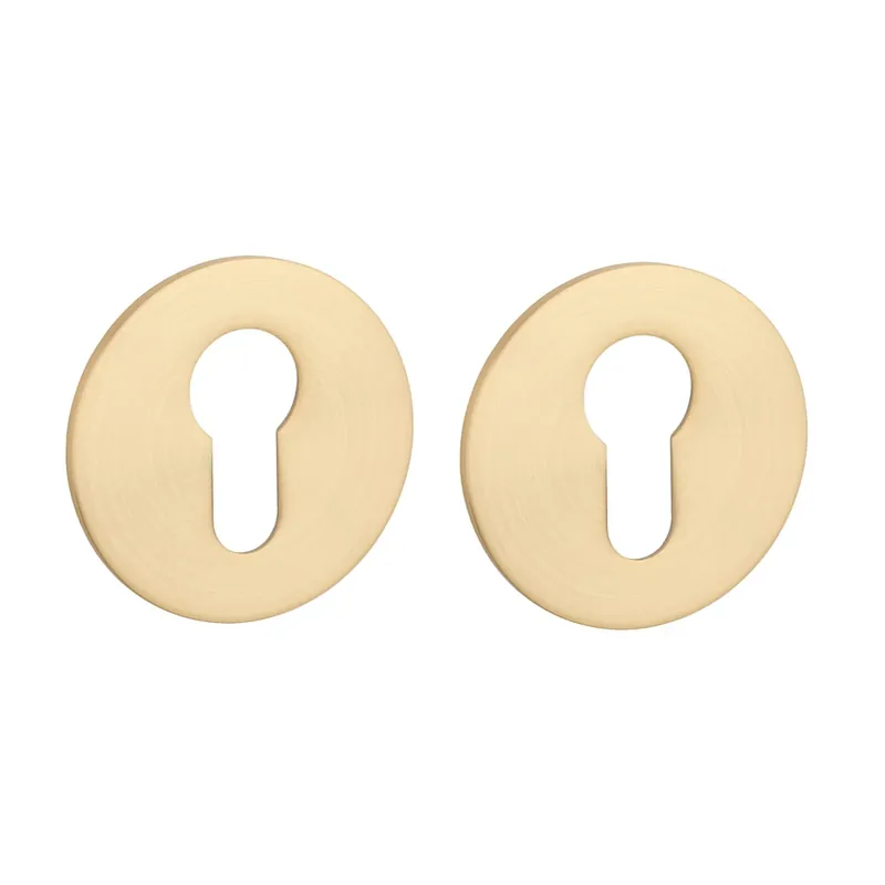 Beste Prijs STERK Cilinderplaatjes OVAL 1711 Ultra dun 3mm Rond Goud gepolijst PVD