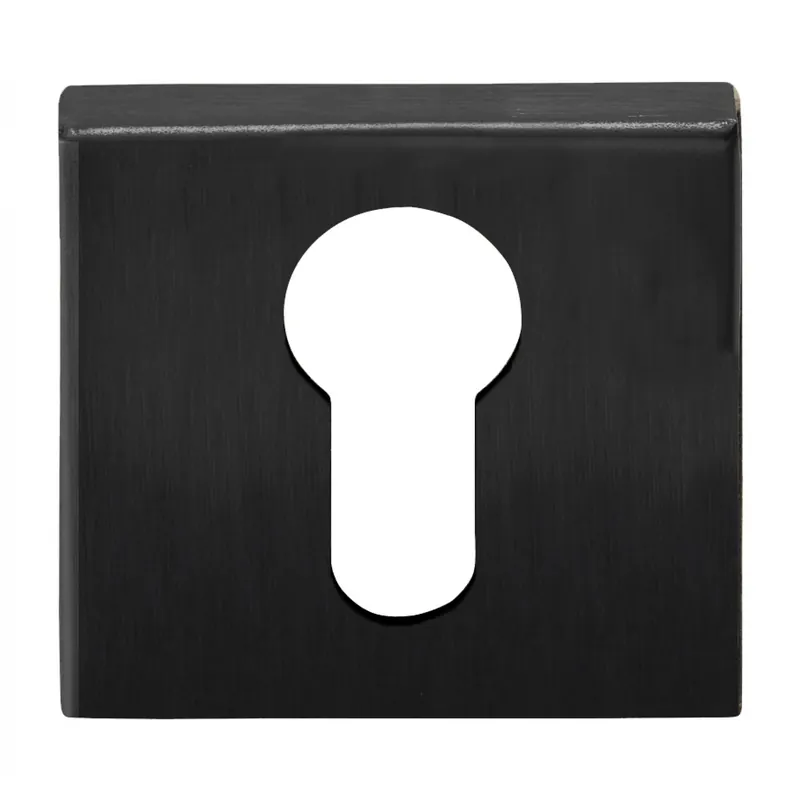 Koop Vandaag Formani Cilinderplaatje BASIC BSQY53 PVD Gunmetal