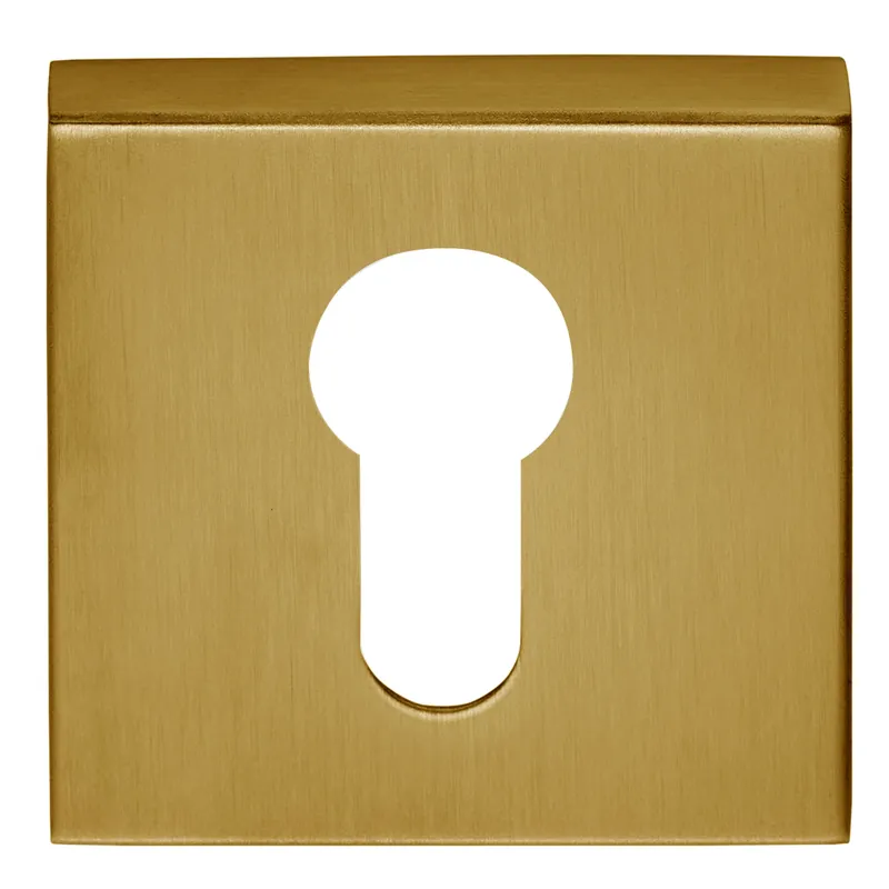 Formani Cilinderplaatje BASIC BSQY53 PVD mat Goud Speciale Aanbieding