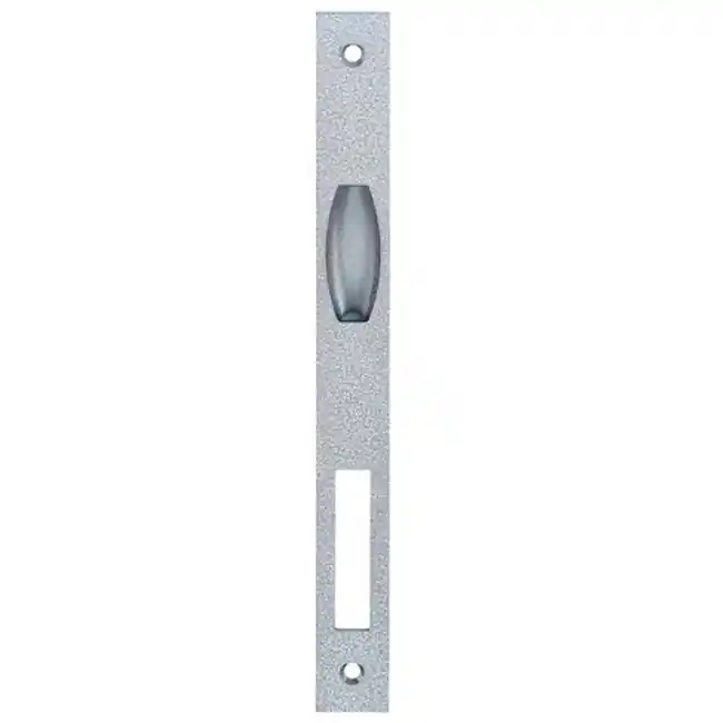 Must-Have KFV sluitplaat tbv tonrol meerpuntsslot as2500