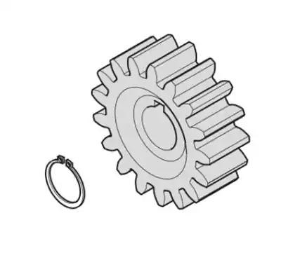 Sommer Tandwiel module 4 voor Runner(+) en Starter(+) Weekendaanbieding